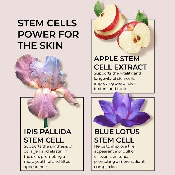 Collagen & Retinol Face Moisturizer – Firming Cream with Airless Pump